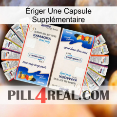 Ériger Une Capsule Supplémentaire kamagra1